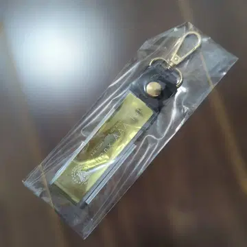 AAA DOME TOUR 15th ANNIVERSARY 키링