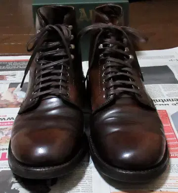 Alden X Blue Blue 시가 코도반 맨슨/플레인토