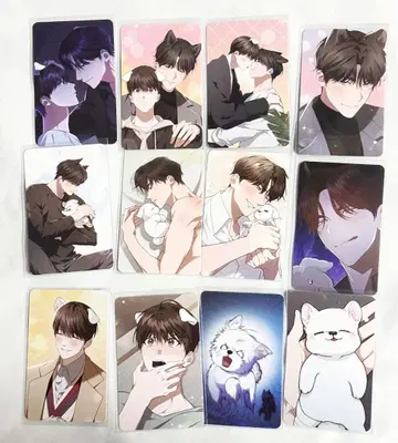 한국 BL 강아지에게 손대지 마 트레이딩 카드 12장 세트