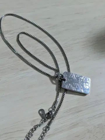 기베온 운석 도그택형 목걸이