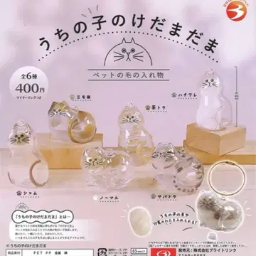 정품 우리 아이 털뭉치 전 6종 컴플리트 6개 세트