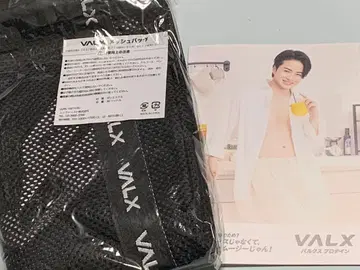 VALX 메쉬 빅 블랙  책자