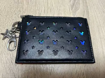 도쿄 디즈니 리조트 패스 케이스