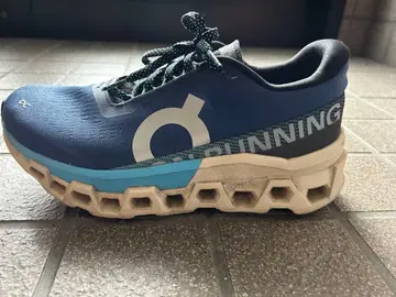 [25cm]On Cloudmonster 2 블루