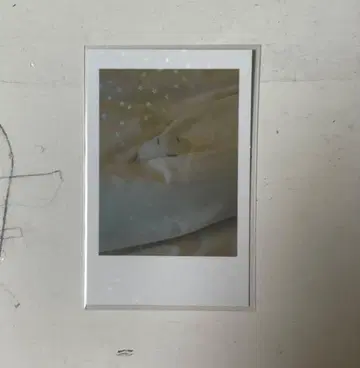 ado 심장 트레이딩 카드 시크릿