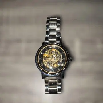 자동 와인딩 손목시계 스켈레톤 골드 실버