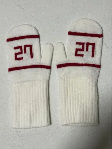 가정교사 히트맨 REBORN! 츠나 사와다 츠나요시 그로브 27 장갑