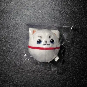 3년 Z반 긴파치 선생님 폼폼 누이 사다하루