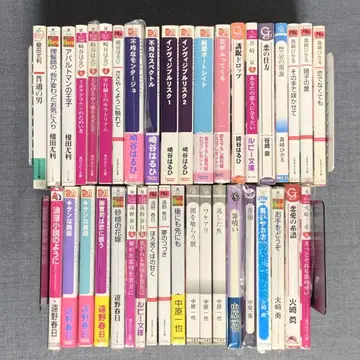 BL 소설 문고 묶음 판매 39권