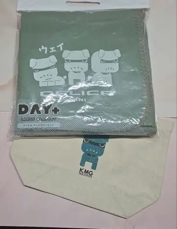 데리마루 토트백 데이타스 라지 담요