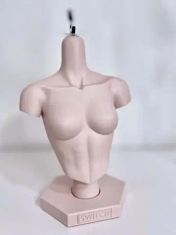 SWITCH 밀크티 로즈 바디 토르소 마네킹
