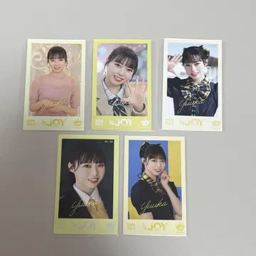 니어야/무라야마 유우카/미니 사진 vol.3/컴프