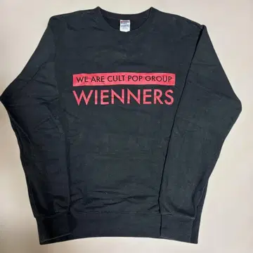 Wienners 롱T L 사이즈
