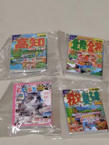 맛푸루 콩 도서 가이드북 시크릿 있음