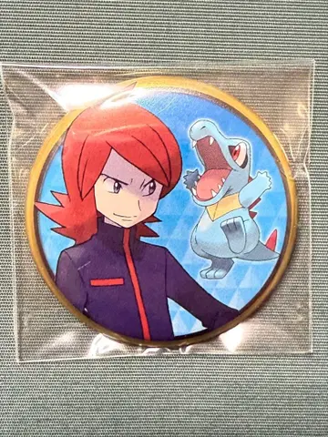 포켓몬 캔뱃지 조토 라이벌 와니노코 실버