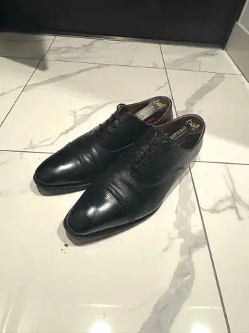 스코치 그레인 아슈란스 25.0