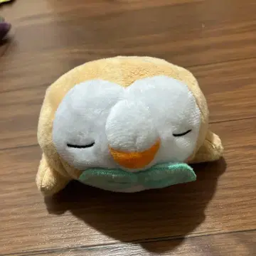 [ 기간 한정 가격 인하 ] 포켓몬 모쿠로 봉제 인형