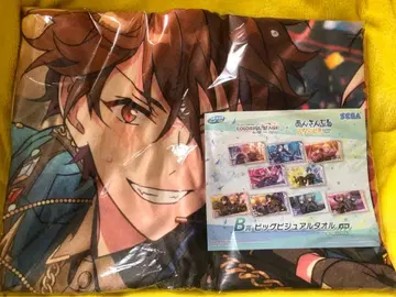 앙스타 프로세카 콜라보 빅 타월