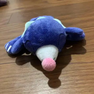포켓몬 아시마리 봉제 인형