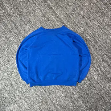 90s Hanes 헤인즈 무지 맨투맨 USA제 래글런 L