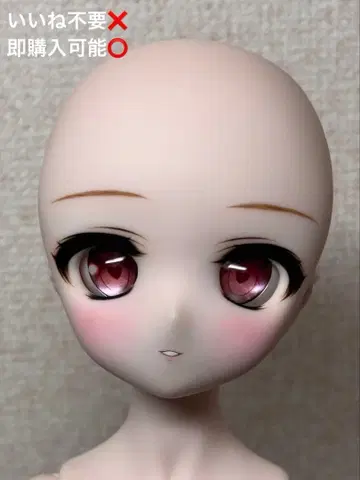 DDH 커스텀 01 헤드 SW 스킨 헤드만 돌피드림