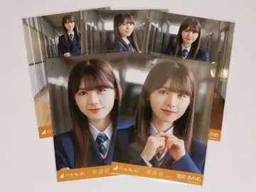 츠츠이 아야메 브로마이드 차도측 언더ver. 5종 세트