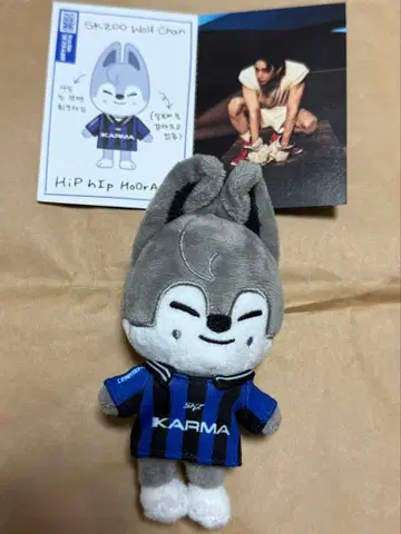 Stray Kids 스키즈 KARMA skzoo 울프