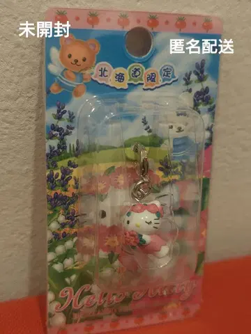 레어 홋카이도 한정 고토치 키티 지퍼 참 익명 배송