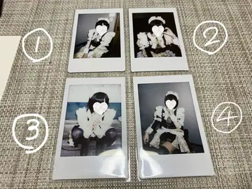 집사와 메이드 폴라로이드 고양이 고양이 고양이와 우시오카 마사무네