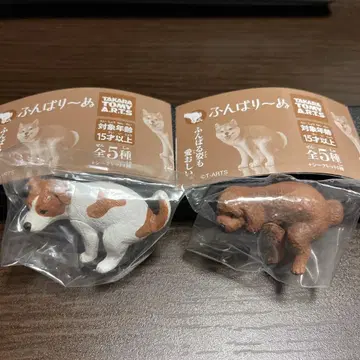 굼벵이 토이 푸들 잭 러셀 테리어