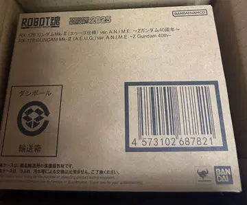 ROBOT혼 RX-178 건담 Mk-II (에우고 사양) 40주년