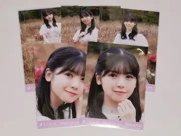 츠츠이 아야메 브로마이드 마지막 tight hug 5종 세트