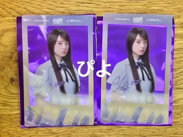 신참자 랜덤 폴라로이드풍 클리어 카드 노기자카46 야타 모에카 2장 세트