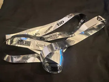 은색 테이프 LUNATIC FEST. 2025 11/8