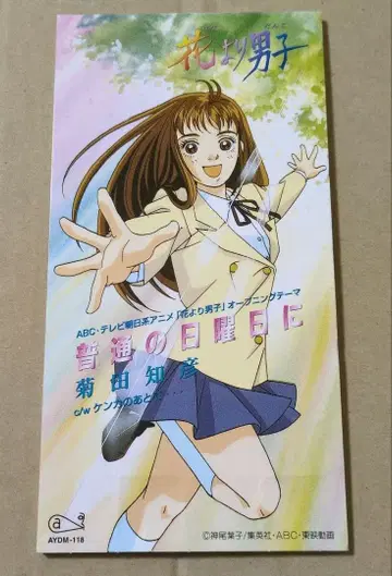 꽃보다 남자 보통의 일요일에 8cm CD