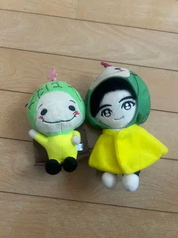 아이돌 봉제 인형 세트