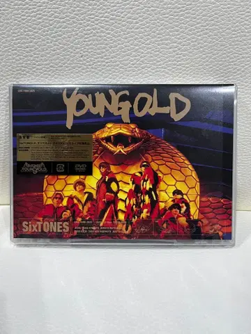 Sixtones YOUNG GOLD DVD 2매 세트