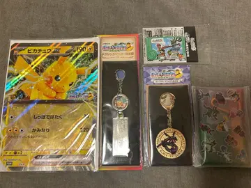 JR 동일본 스탬프 랠리 포켓몬 피카츄