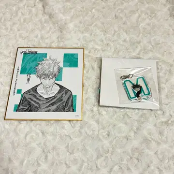 주술회전전 후시구로 메구미 색지 컬렉션 흔들흔들 참