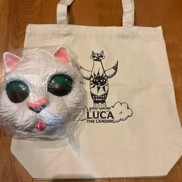 야노베 켄지 쉽스캣 눈 색깔 그린