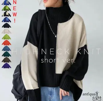 안티카 하이넥 니트 숏 기장