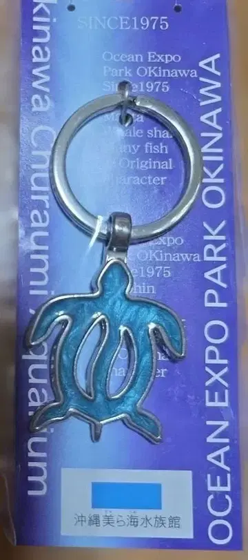 오키나와츄라우미수족관 바다거북 돌고래 키링 세트