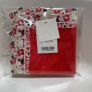 치카자와 레이스 와 레이스 도스코이 빨간색