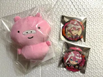 앰프턱 컬러즈 케챠군