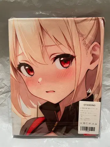 13815 빈 치사토 캐릭터 담요