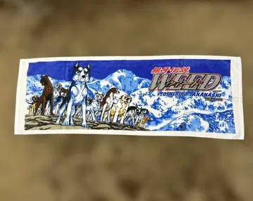 은아 전설 위드 타월 weed