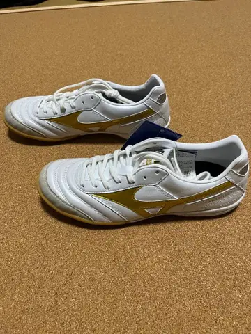 모렐리아 살라 풋살화