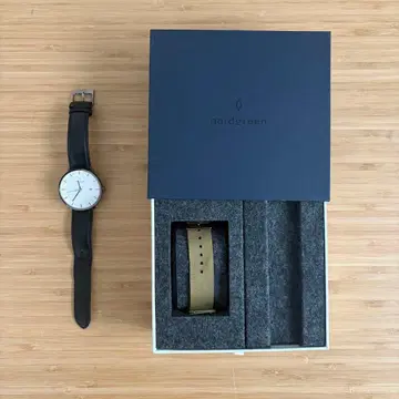 nordgreen 손목시계