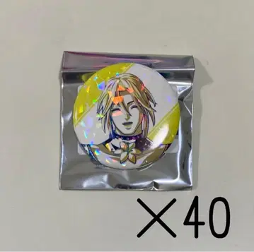 나침반 아니아트 Ani-art 폴로로치오 캔 배지 40개