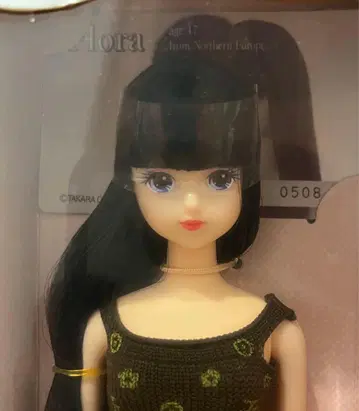 제니 프렌드 인형 브라운 상자 플로라 Jenny